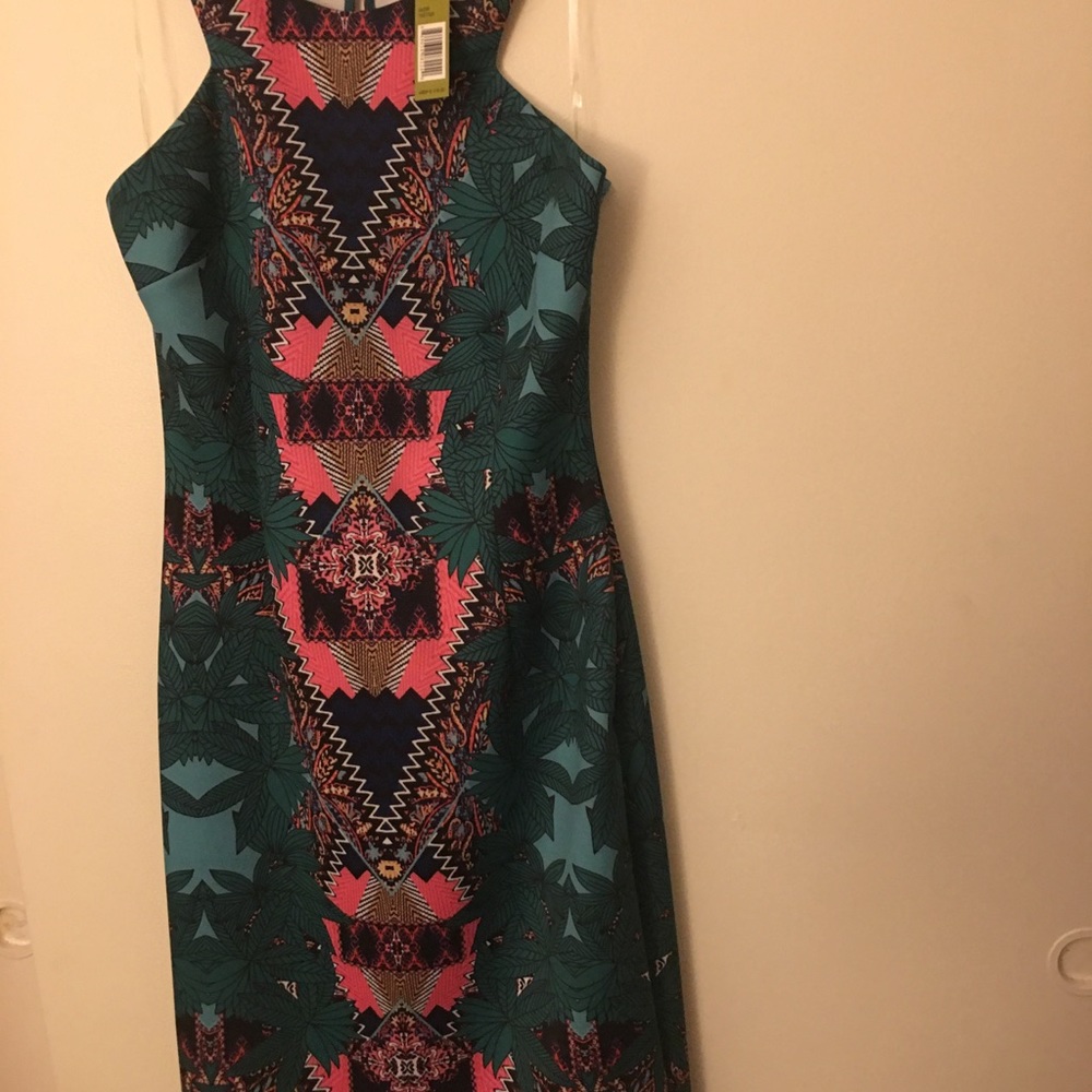 Gianni Bini - Picture 3 of 4